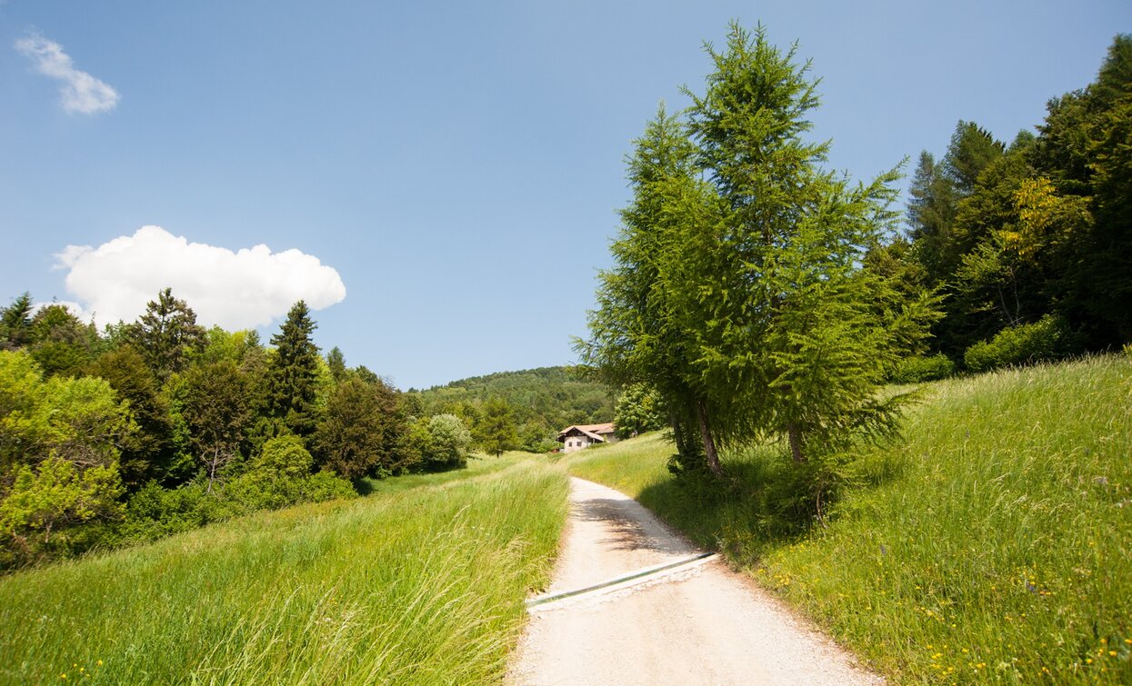 Hiking in the nature | © Archivio Garda Trentino, Garda Trentino