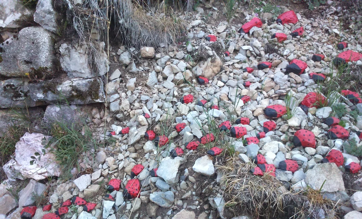 Coccinelle portafortuna sul sentiero | © APT Terme di Comano Dolomiti di Brenta, North Lake Garda Trentino 