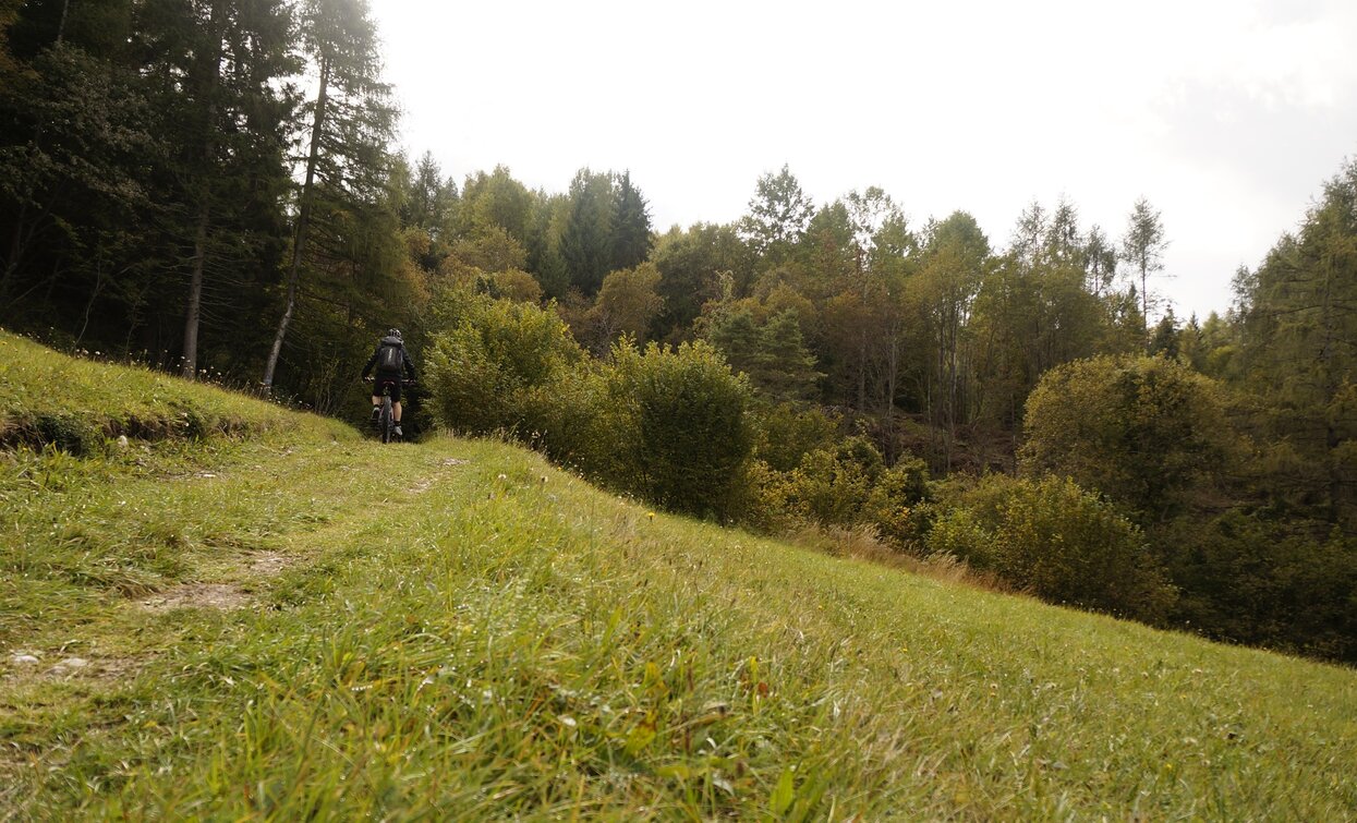 Meadows at Malga Zanga | © Archivio Garda Trentino (ph. Marco Giacomello), North Lake Garda Trentino 