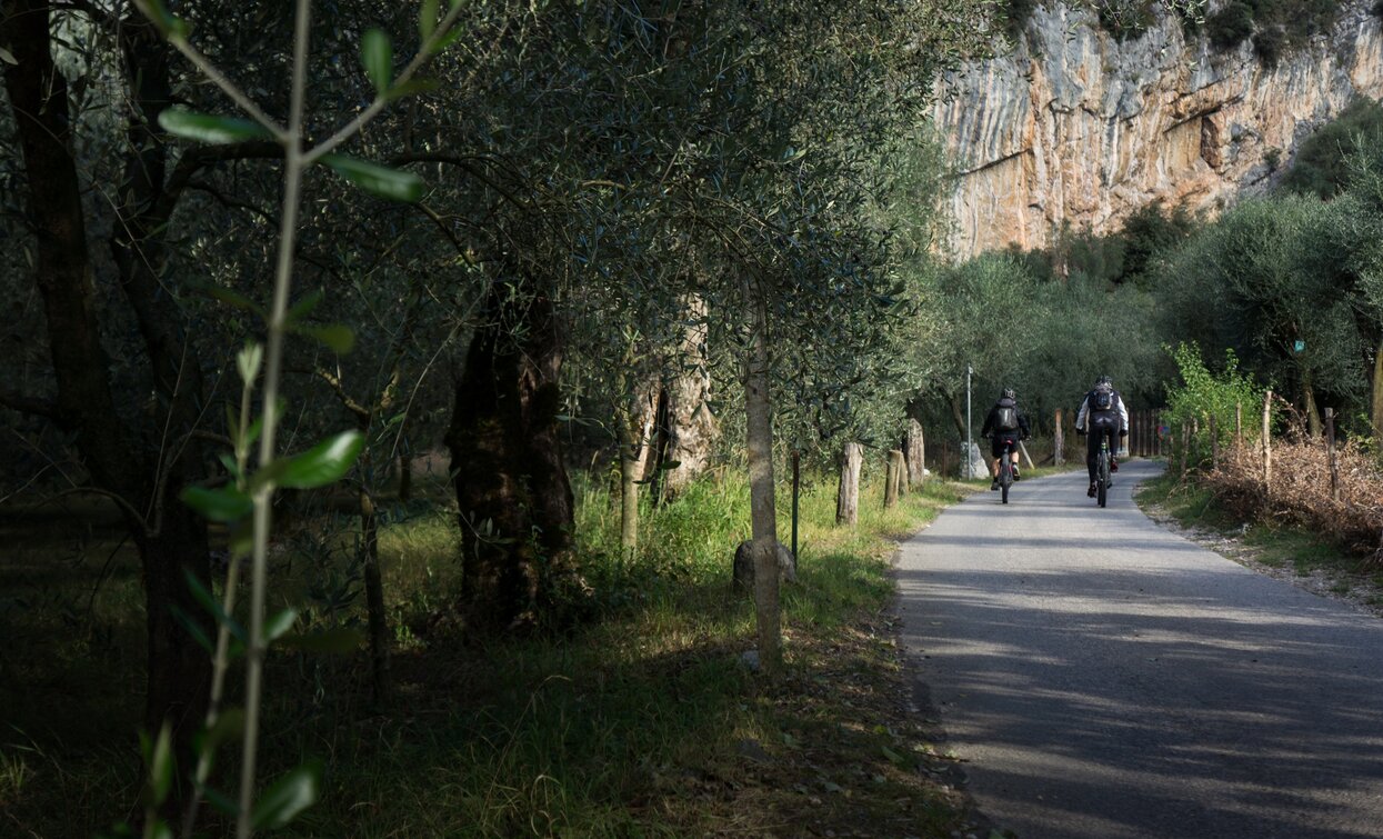 Parte iniziale di salita, con la Falesia Policromuro sullo sfondo | © Archivio Garda Trentino (ph. Marco Giacomello), North Lake Garda Trentino 