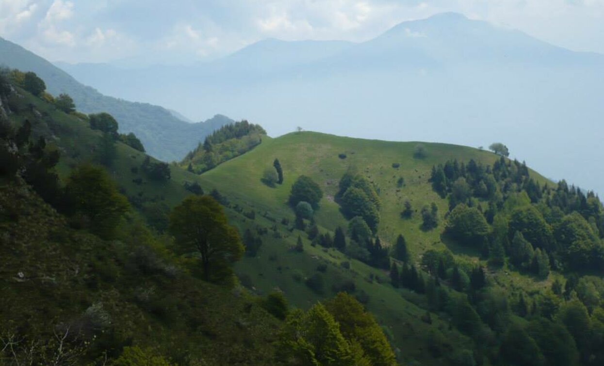 Il Monte Vender dal Sentiero della Regina | © La ValeBellotti, Garda Trentino 