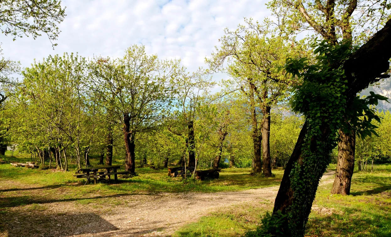 Kastanienhain in Nago | © Associazione 1 Territorio 2 Fronti, Garda Trentino 