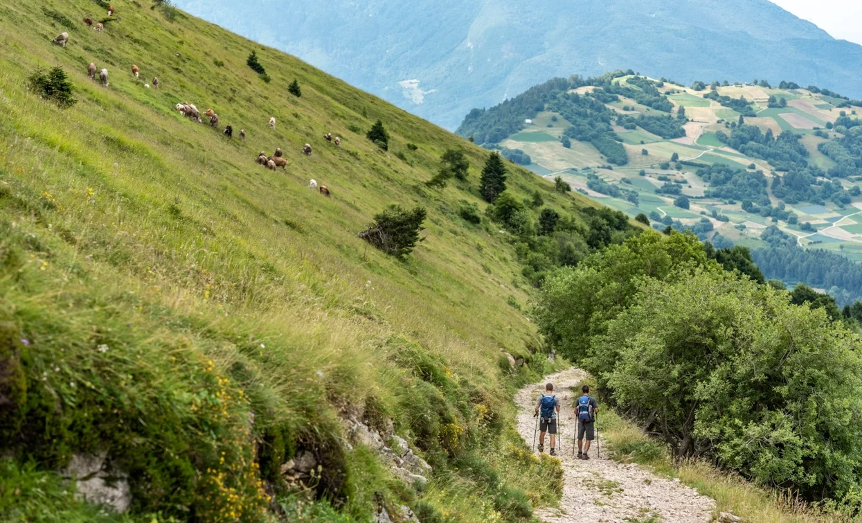 Auf dem Monte Stivo | © Archivio Garda Trentino (Ph. Jennifer Doohan), Garda Trentino 