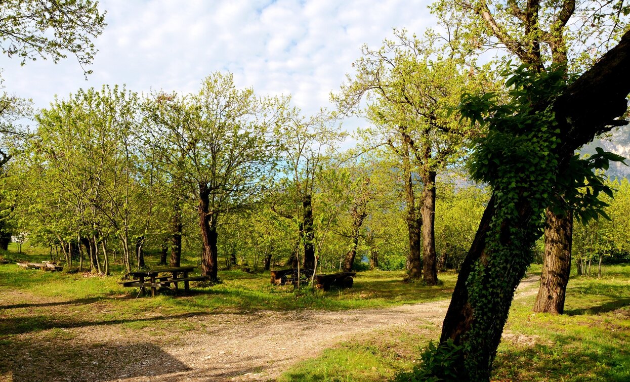 Castagneto di Nago | © Associazione 1 Territorio 2 Fronti, Garda Trentino 