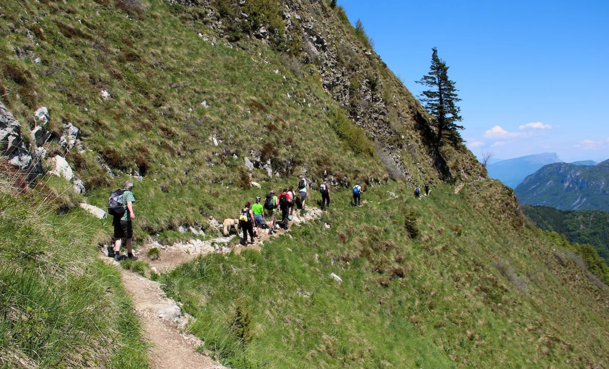 Von der Bocca Saval Richtung Berghütte Pernici | © N. Pellegrini, Garda Trentino 