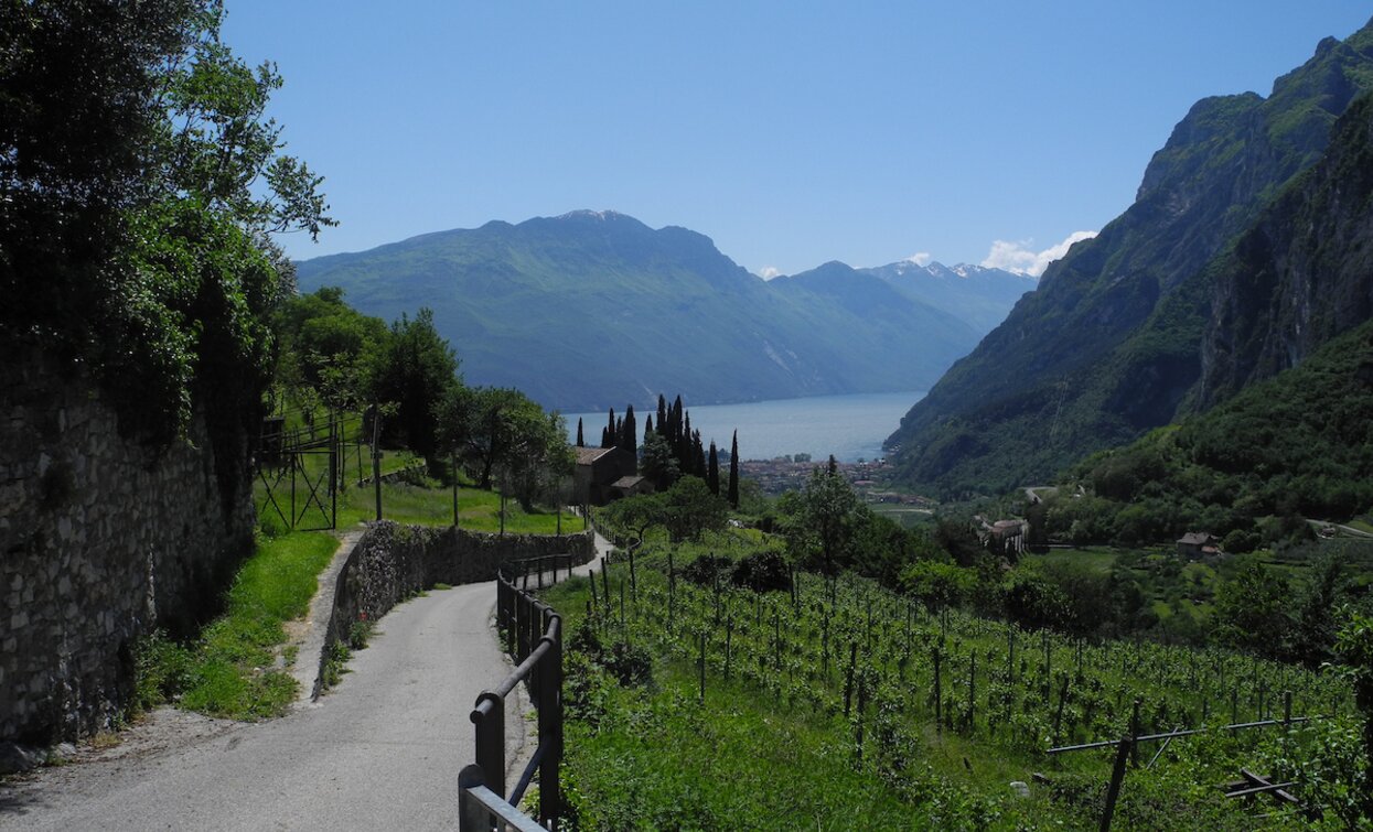 La chiesetta di San Lorenzo e la strada che porta al borgo di Frapporta a Tenno | © Archivio Garda Trentino, Garda Trentino 