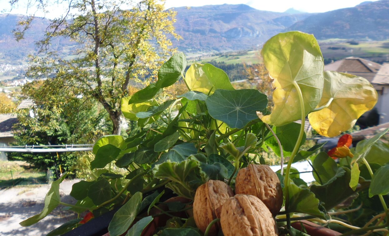 PIccola e dalla sapote speziato | © Azienda per il Turismo Terme di Comano Dolomiti di Brenta, Garda Trentino 