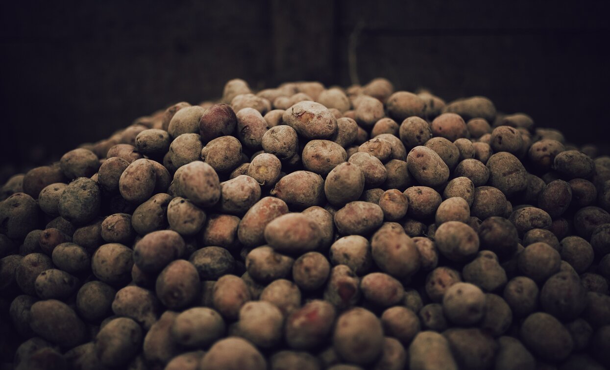 Una montagna di patate | © G. Tolli, Garda Trentino 