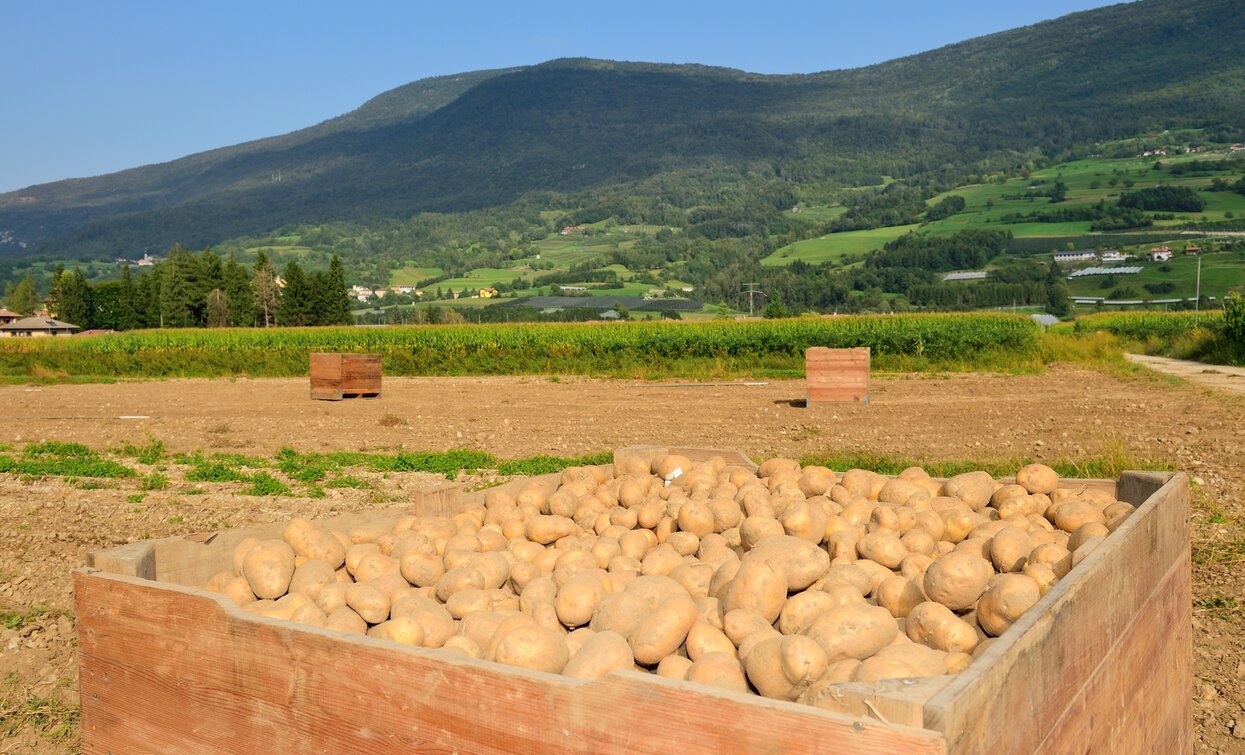 © M. Corradi, Garda Trentino 