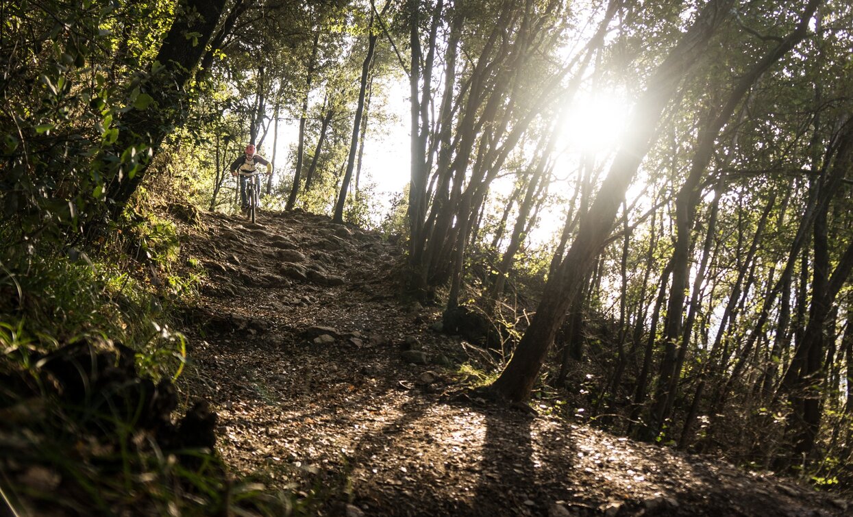 A section of the trail in direction Sant'Alessandro | © Archivio Garda Trentino (ph. Marco Giacomello), North Lake Garda Trentino 