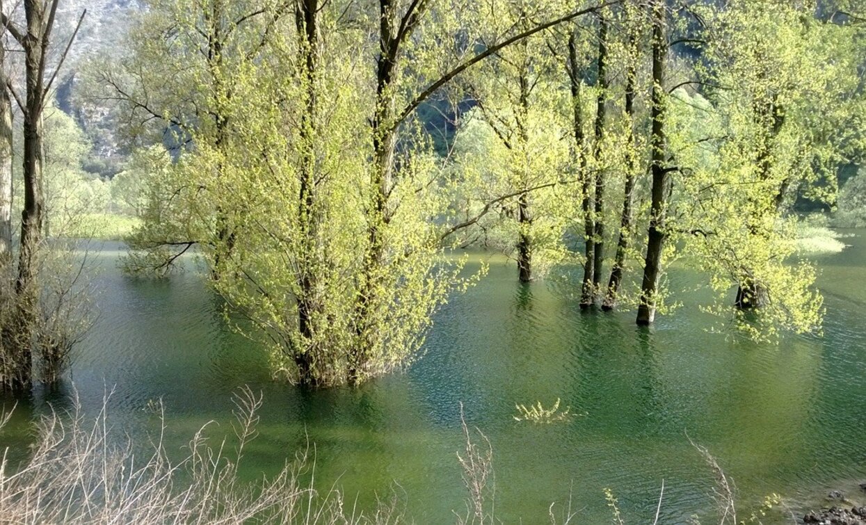 Lago di Loppio | © North Lake Garda Trentino 