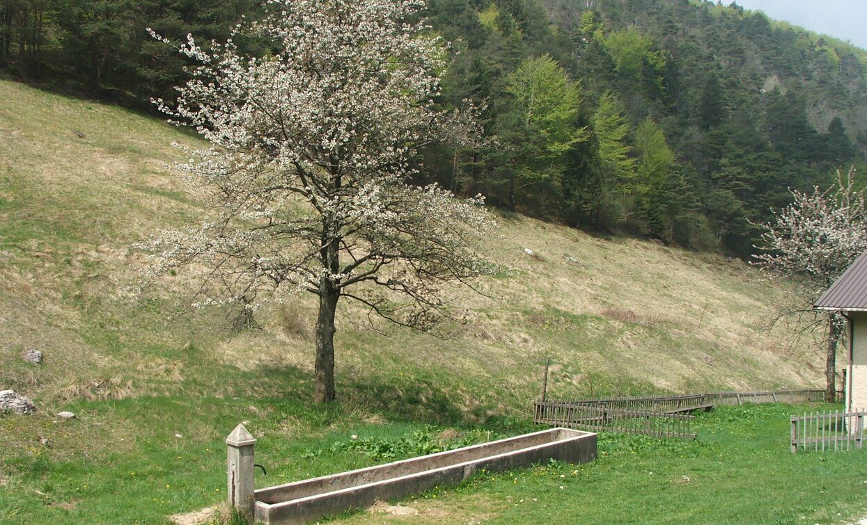 Malga Guil | © Staff Outdoor Garda Trentino AC, Garda Trentino 