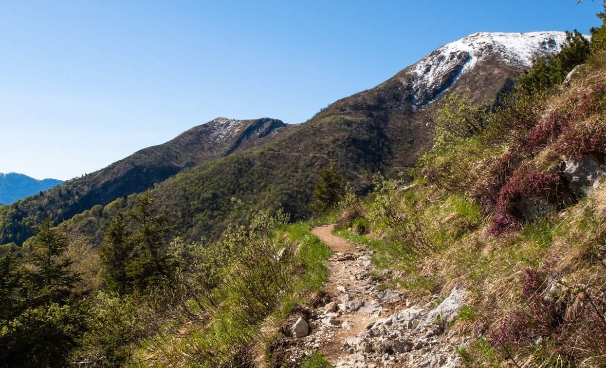 Bocca Saval | © Mark Van Hattem, Garda Trentino 