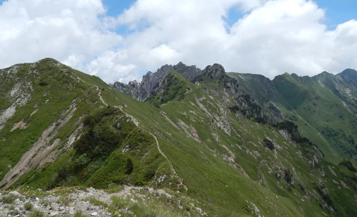 © Ruggero Jacomella, Garda Trentino 