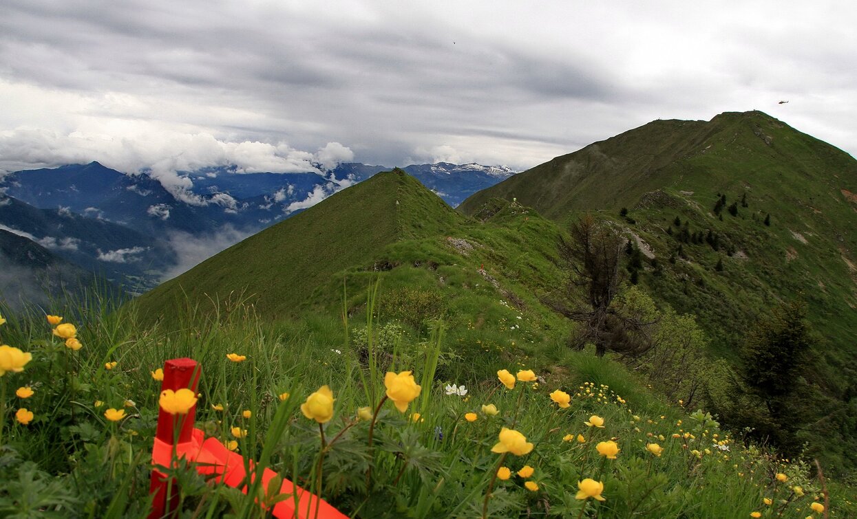 © Franco Daldoss, Garda Trentino