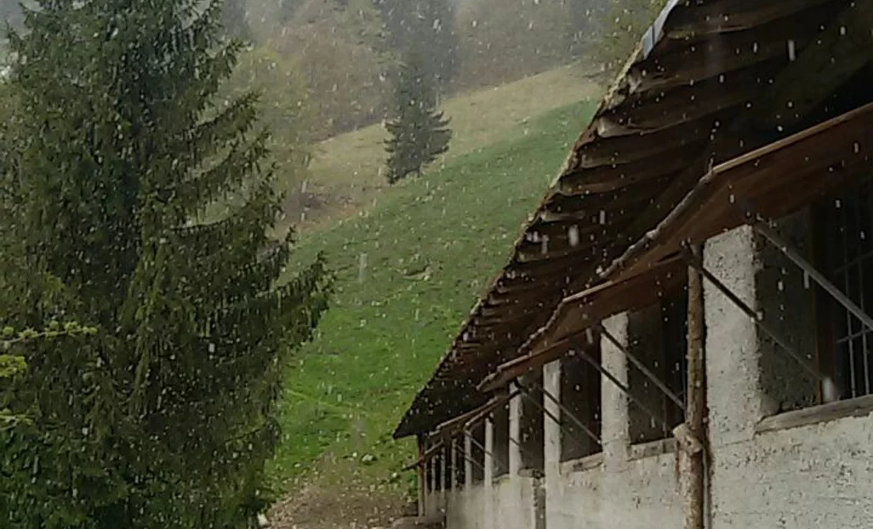 Malga Guì | © Sara Colò, Garda Trentino 