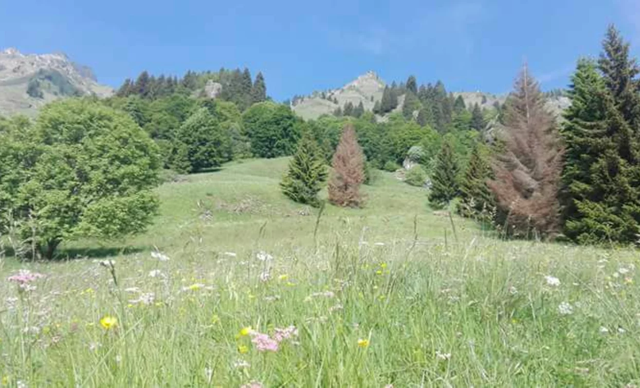 Prati sopra la Val Concei | © Sara Colò, Garda Trentino 