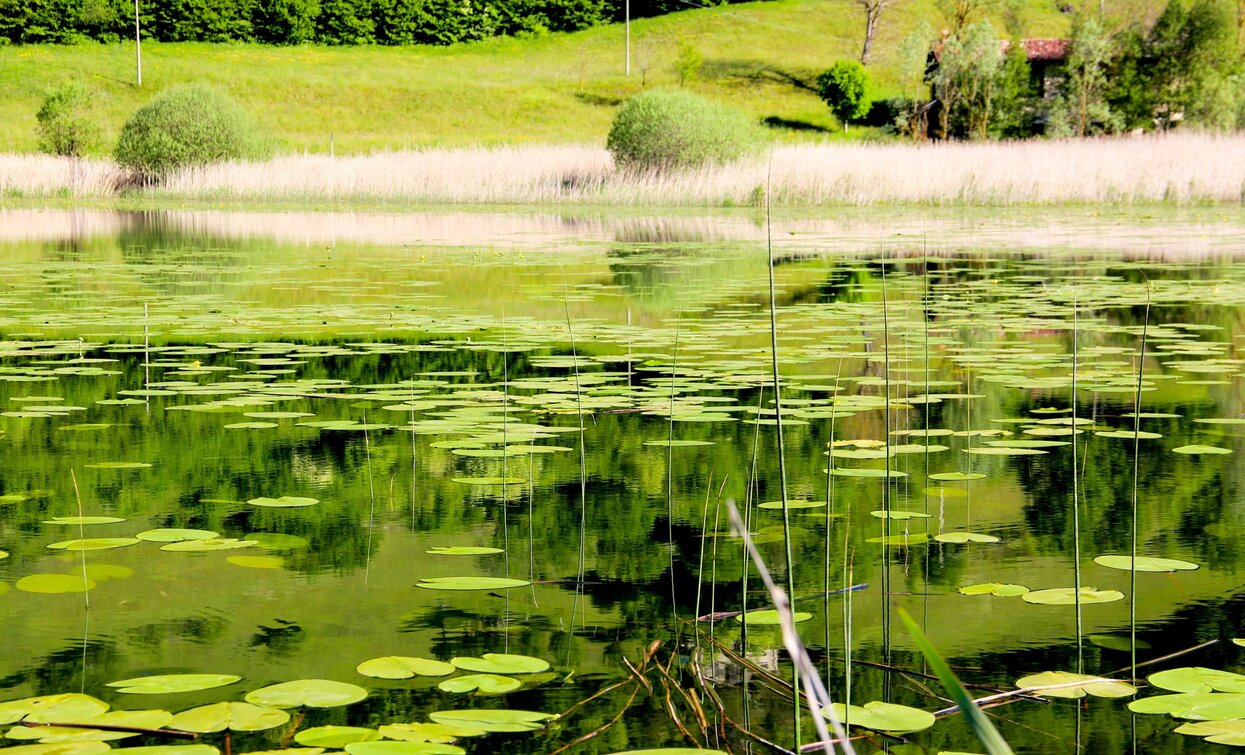 Lake Ampola | © Natalia Pellegrini, Garda Trentino