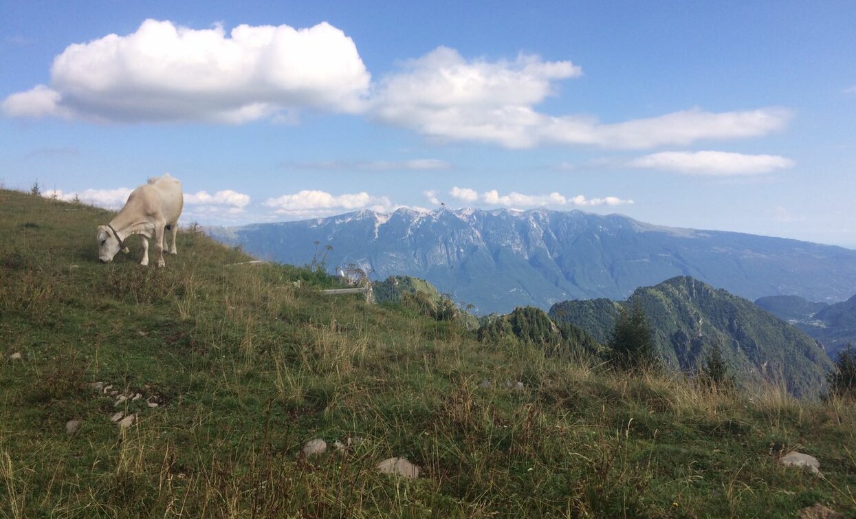 © Elisabetta Luraschi, Garda Trentino 