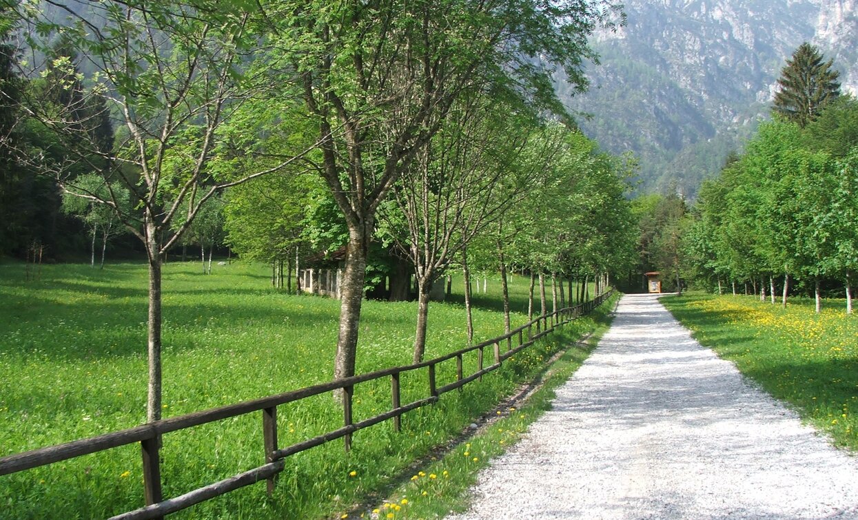 Malga Cita | © Staff Outdoor Garda Trentino AC, Garda Trentino 