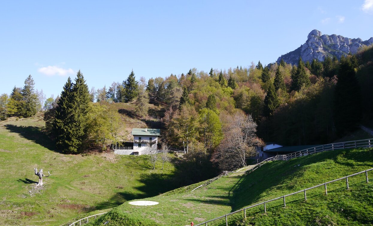 Malga Trat | © Hartmut Wimmer, Outdooractive Editors