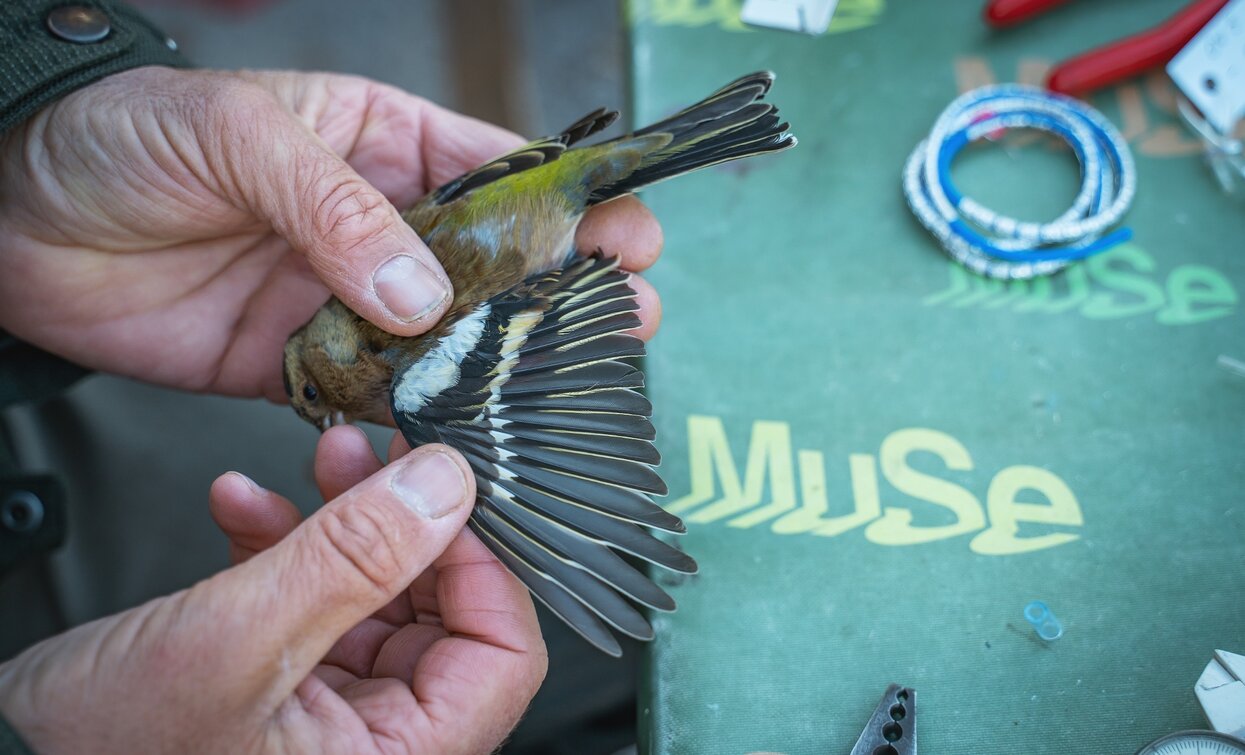 Inanallemento a Bocca Caset | © Tommaso Prugnola, Garda Trentino 