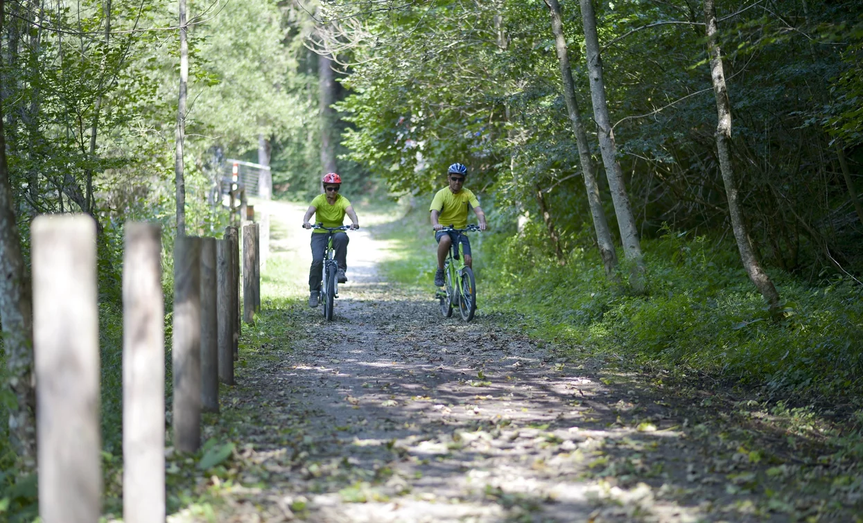 Ciclabile della Valle di Ledro nei pressi del Lago d'Ampola | © Archivio Garda Trentino (ph. Roberto Vuilleumier), Garda Trentino 