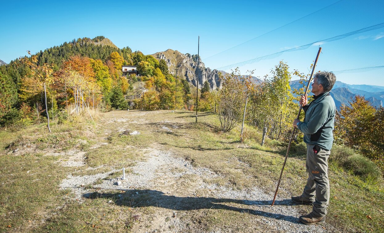 Bird ringing station at Bocca Caset | © Archivio Garda Trentino (ph. Tommaso Prugnola), Garda Trentino 