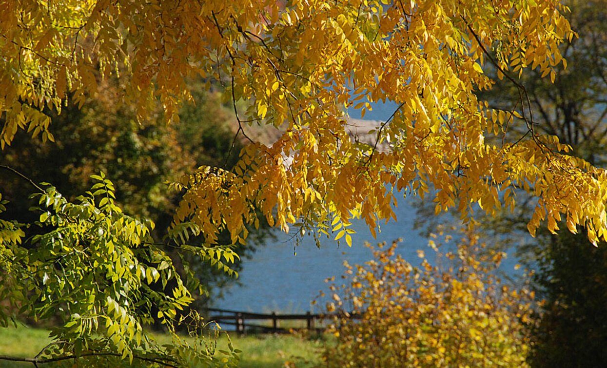 Autunno sul lago | © Voglino e Porporato, Garda Trentino 