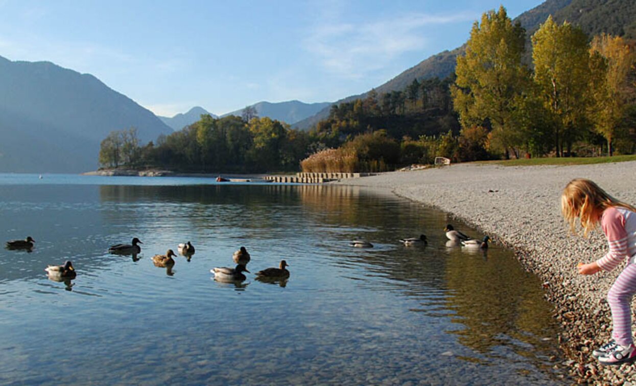 Spiaggia di Besta | © Voglino e Porporato, Garda Trentino 