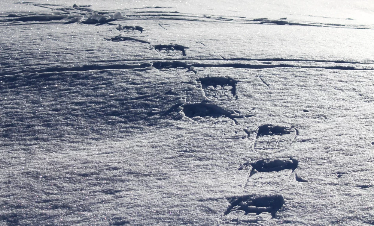 Segni delle ciaspole | © Stefania Oradini, Garda Trentino 