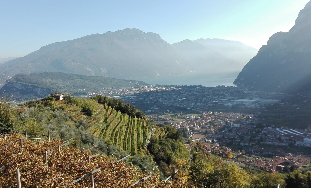 Die Weinberge von Tenno | © LaValeBellotti , Garda Trentino 