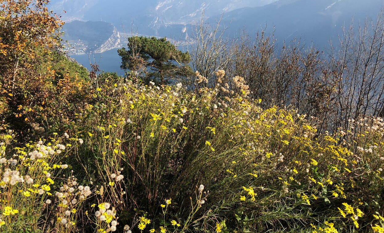 Panorama verso il Garda | © Garda Trentino Trail , Garda Trentino 