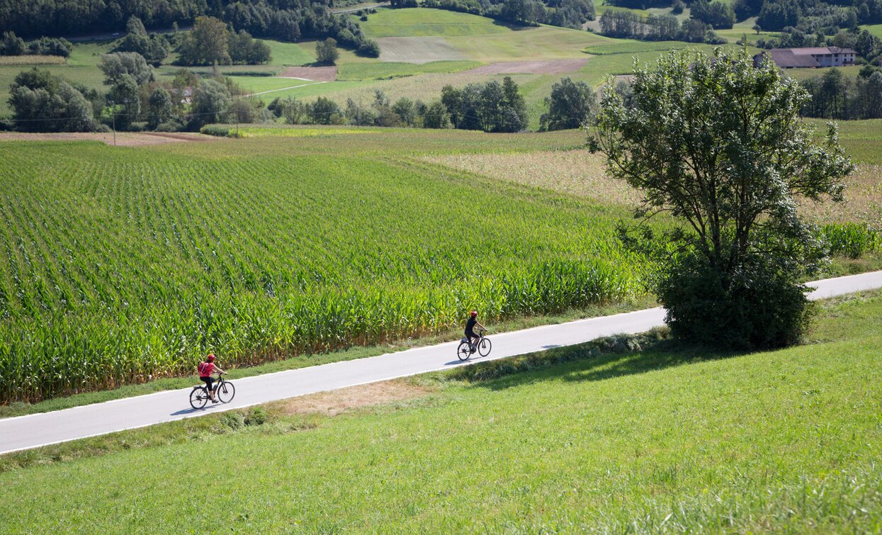 Weg durch das Val Lomasona | © Pillow Lab, Garda Trentino 