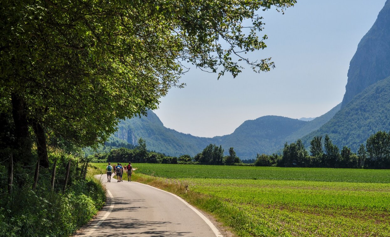 Strada della Val Lomasona | © Associazione Giovane Judicaria, Garda Trentino 