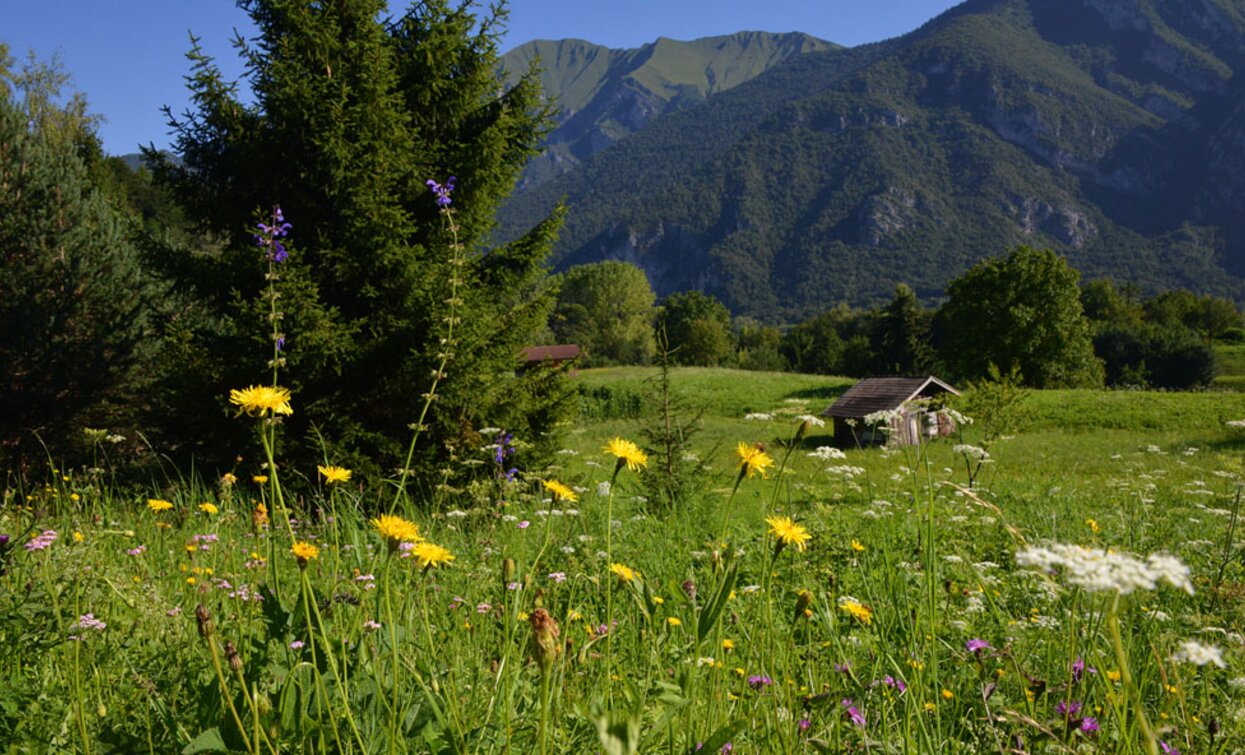 Meadows near Legos | © Archivio Garda Trentino (ph. Voglino e Porporato), Garda Trentino 