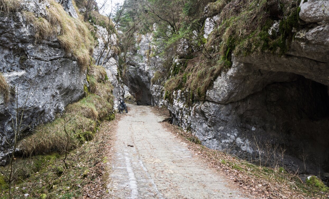 An uphill stretch of the tour between Leano and Passo Guil | © Archivio Garda Trentino (ph. Marco Giacomello), North Lake Garda Trentino 