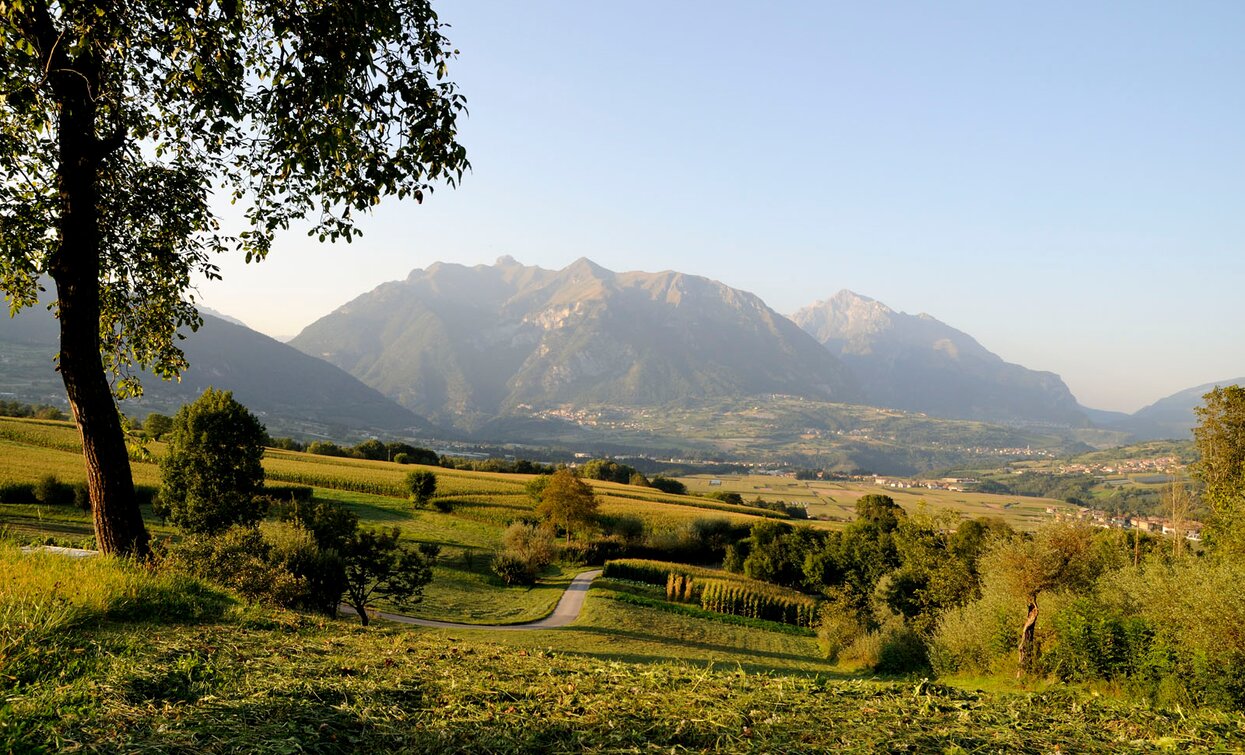 Blick auf das Val Lomasona | © Fototeca Trentino Sviluppo (ph. D. Lira), Trentino Sviluppo foto di B. Bolchi
