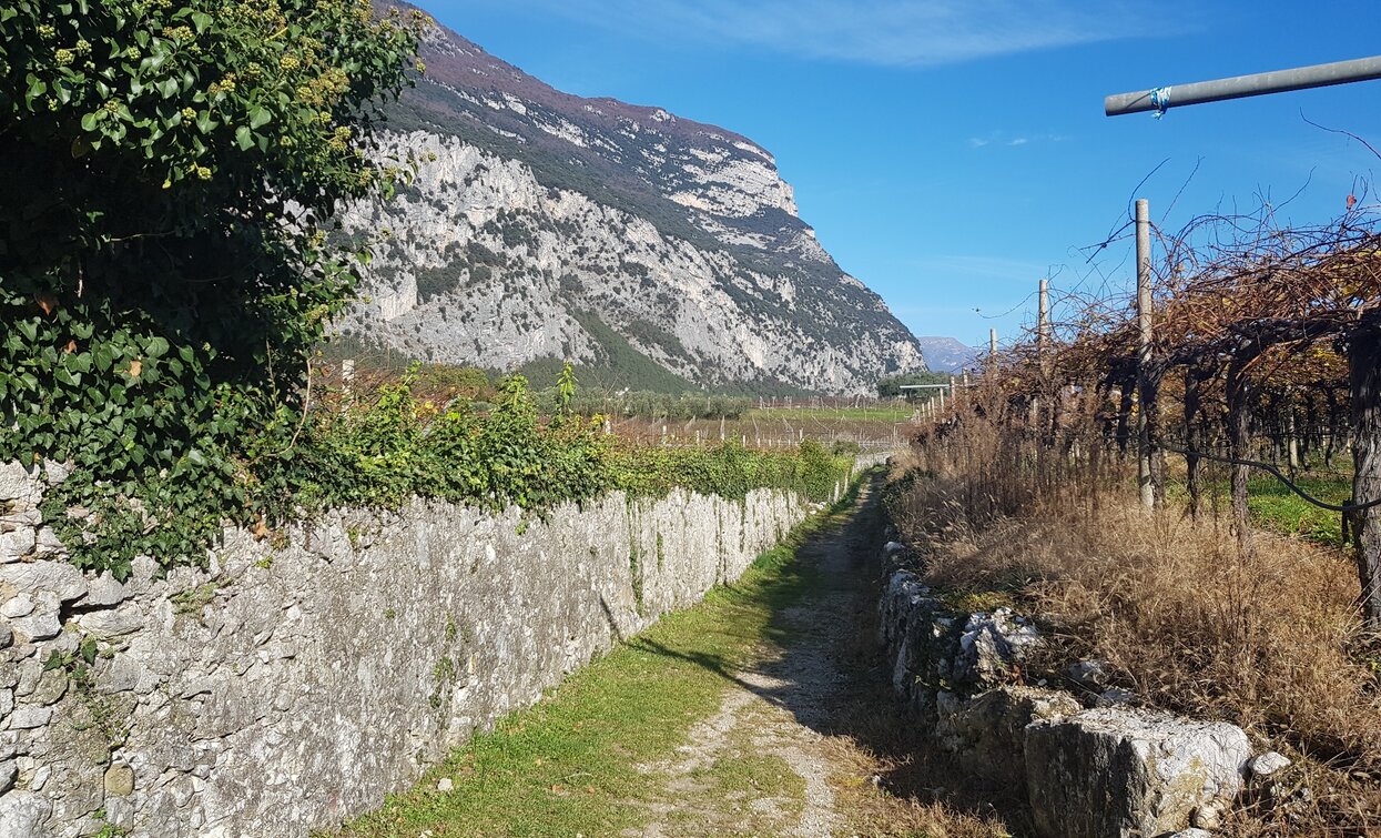 Muretti a secco tra Dro e Ceniga | © Angelo Seneci , Garda Trentino 