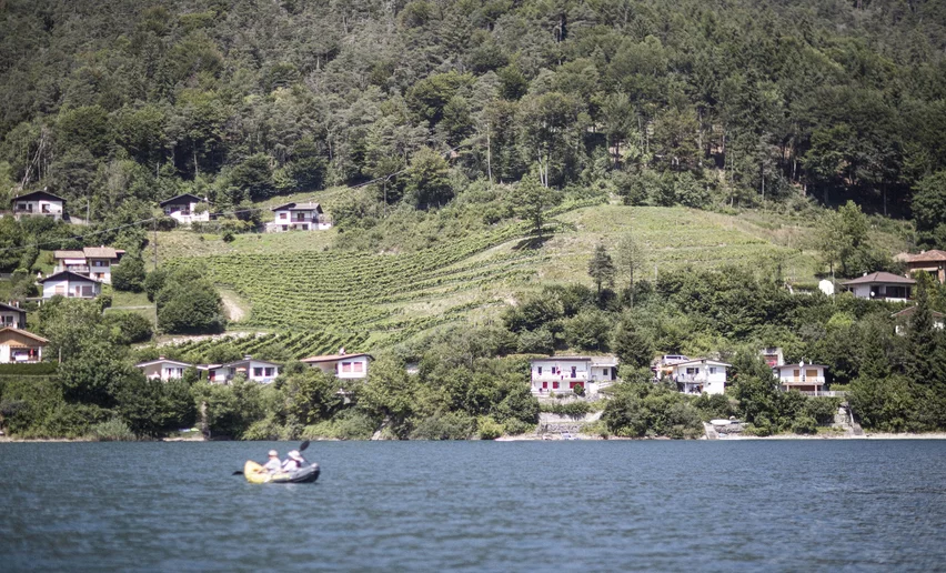 Weinberge in Pur am Ufer des Ledrosees | © Archivio Garda Trentino (ph. Watchsome), North Lake Garda Trentino  Weinberge in Pur am Ufer des Ledrosees | © Archivio Garda Trentino (ph. Watchsome), North Lake Garda Trentino