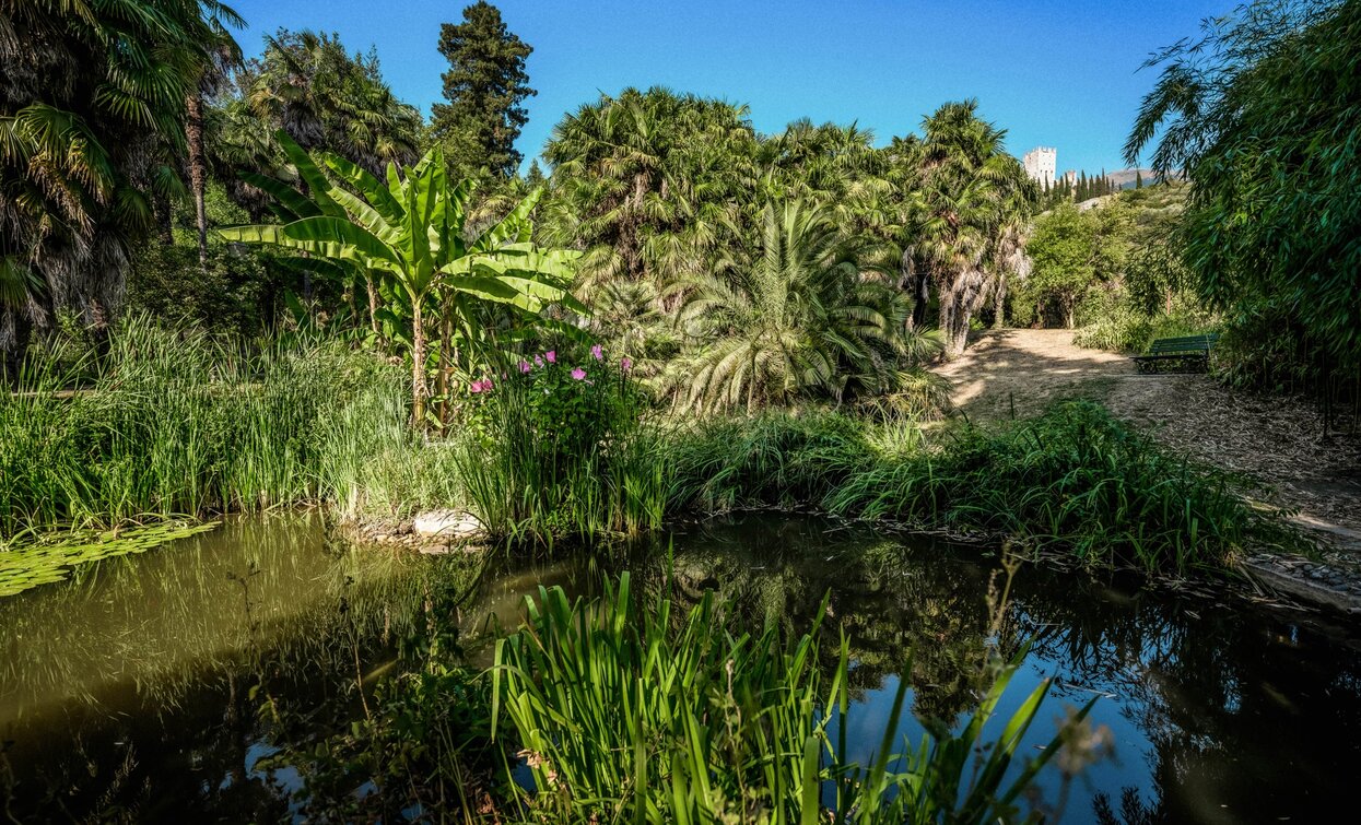 The arboretum in Arco | © Archivio Garda Trentino (ph. Mattia Bonavida), Garda Trentino 