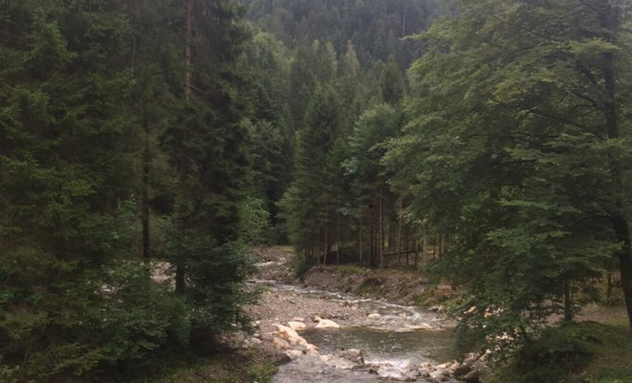 Val di Concei | © Elisabetta Luraschi, Garda Trentino 