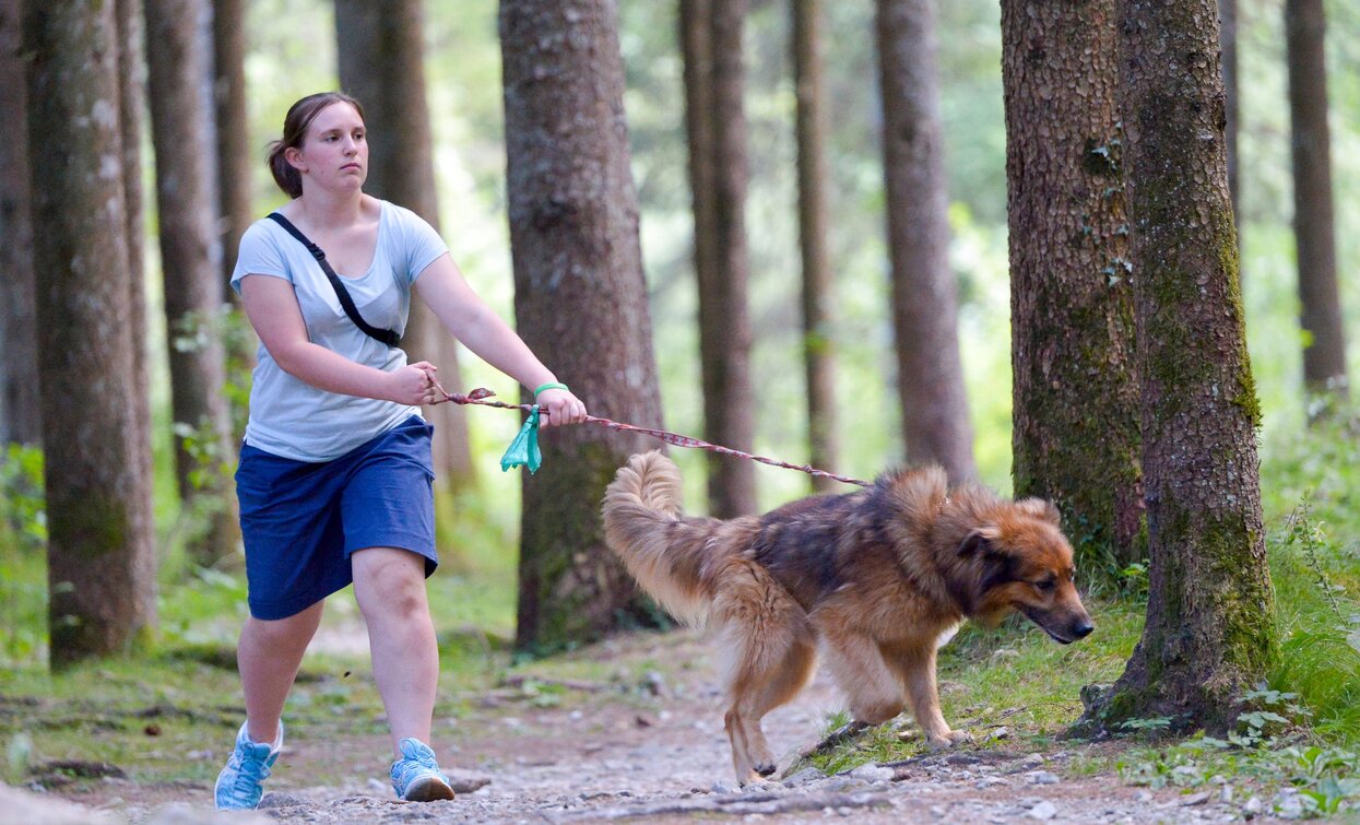 Passeggiata nel bosco | © Roberto Vuilleumier, Garda Trentino 