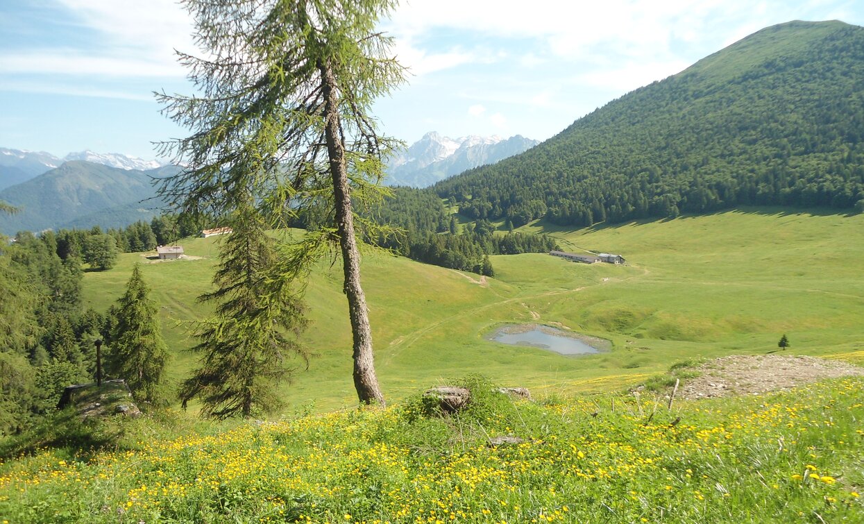 Malga Stabio | © APT Terme di Comano Dolomiti di Brenta, Garda Trentino 