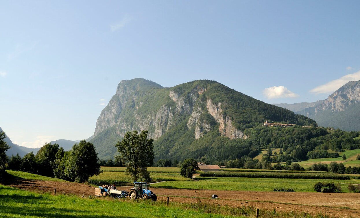 Fields in the Val Lomasona | © Archivio Garda Trentino, Garda Trentino 