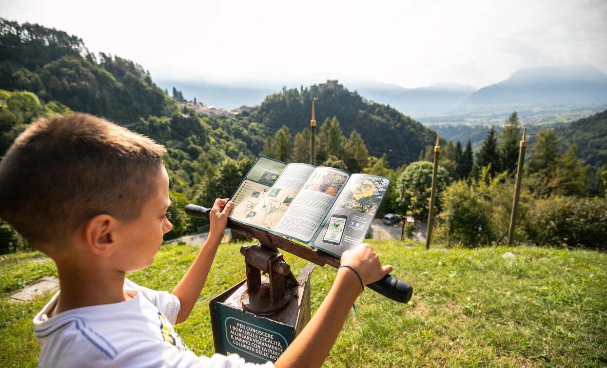 Al Giardino della Flora di Stenico | © Fototeca Trentino Sviluppo foto di A. Russolo, Garda Trentino 