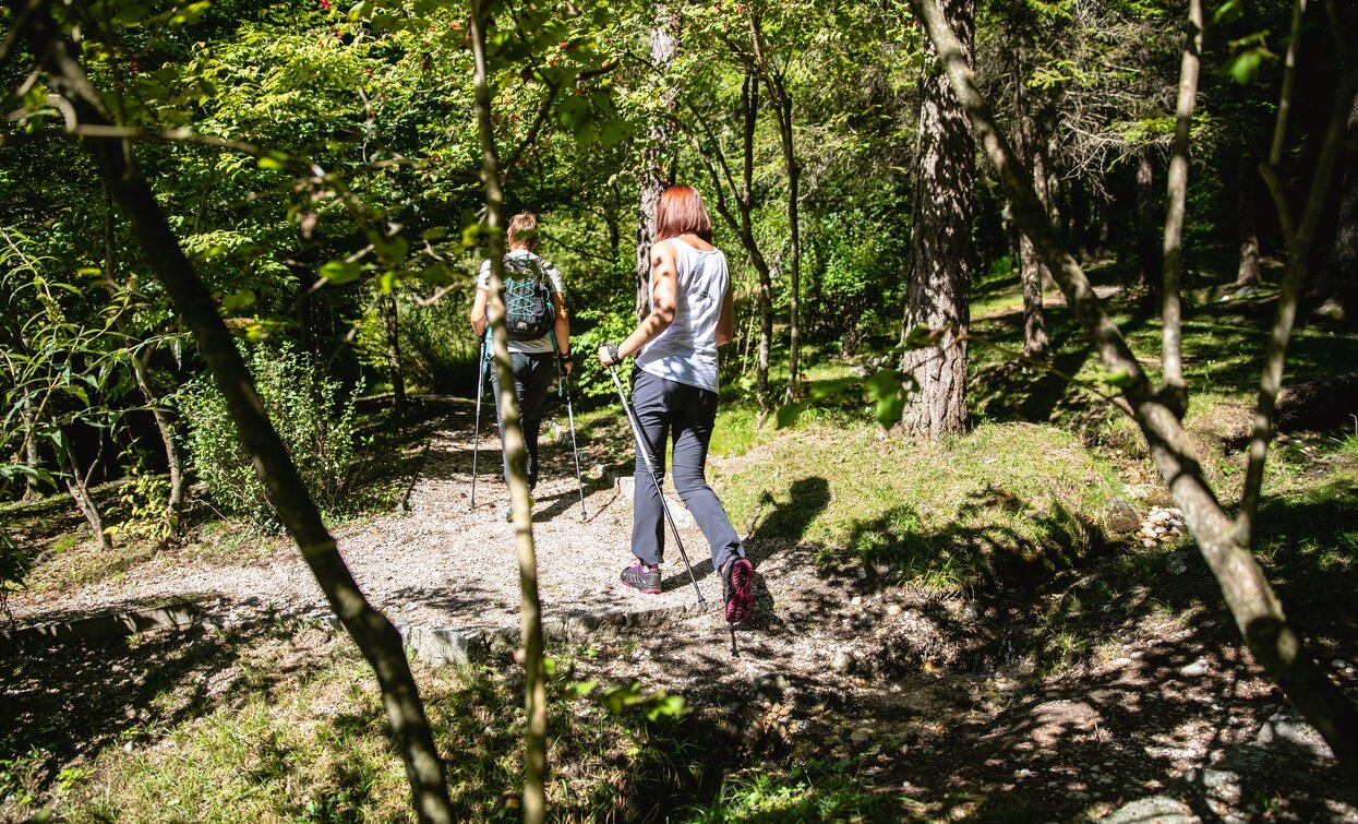 camminare nel bosco | © Fototeca Trentino Sviluppo foto di A. Russolo, Garda Trentino 