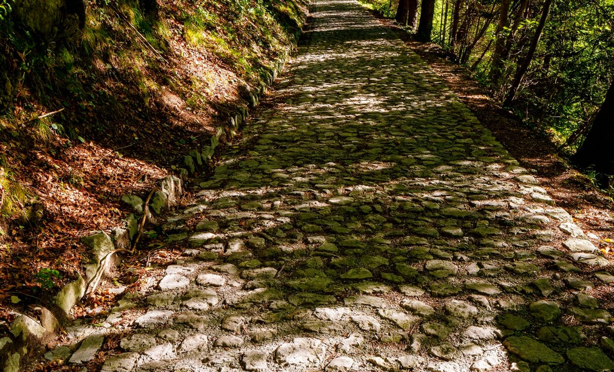 Strada verso Deggia | © Fototeca Trentino Sviluppo foto di L. Gaudenzio, Garda Trentino 