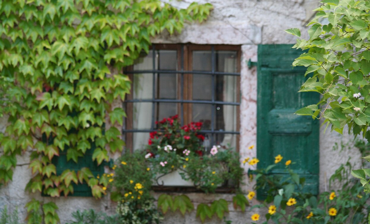 Finestre verdi | © APT Terme di Comano Dolomiti di Brenta, Garda Trentino 