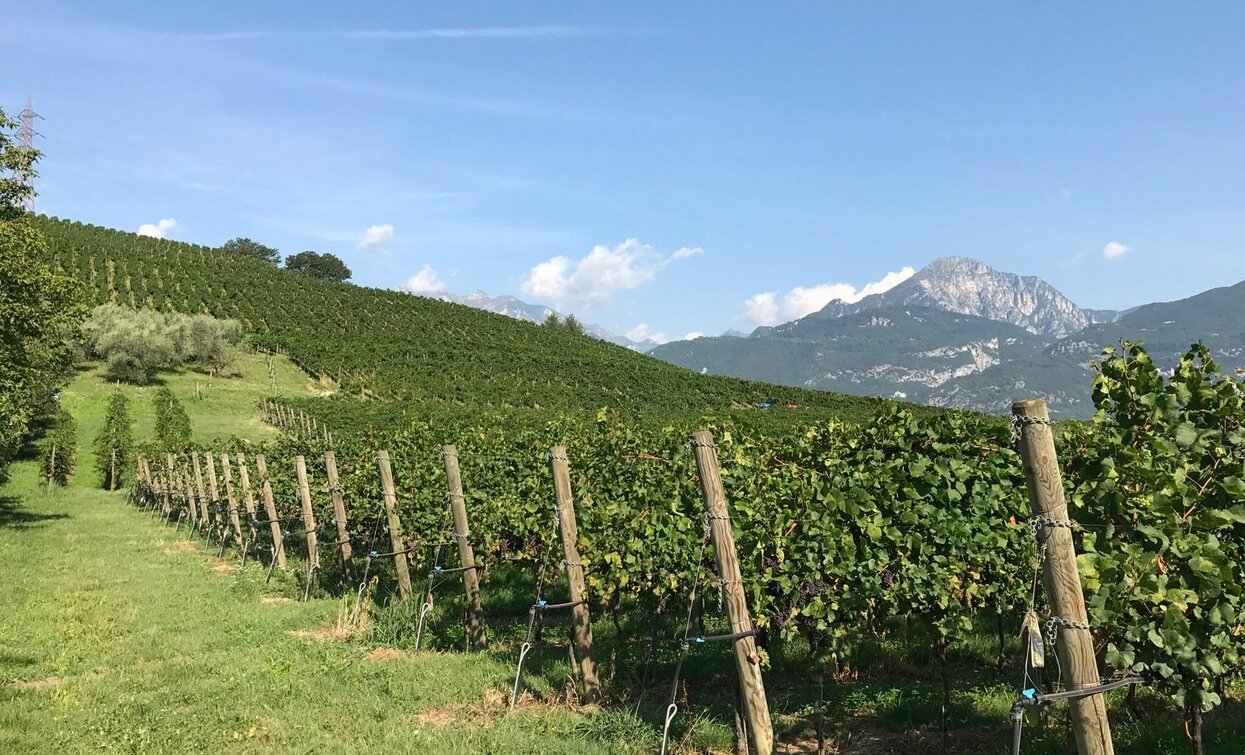 Trentodoc sull’erba - Madonna delle Vittorie 02